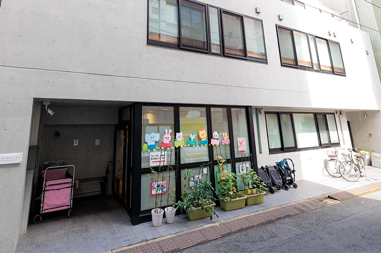 Amazon.co.jp: 総さくいん : 保育社: Japanese Books