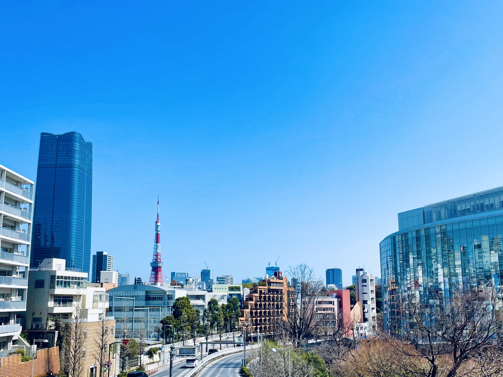 東京タワーと高層オフィスビルが立ち並ぶ港区エリアの風景