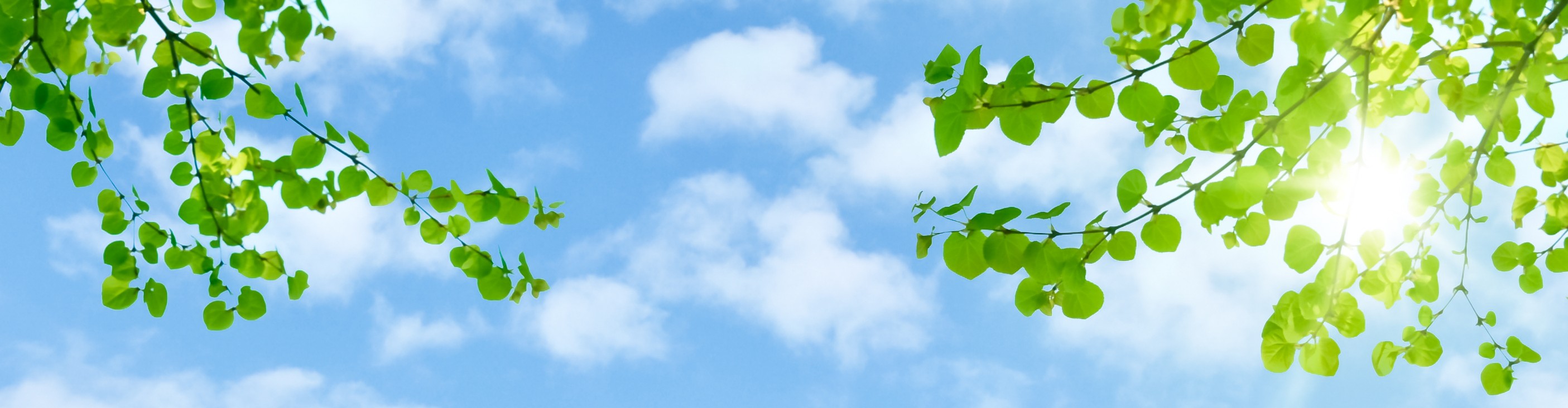 A cartoon illustration of the Earth surrounded by blue sky and green leaves, with sunlight shining from the left side.