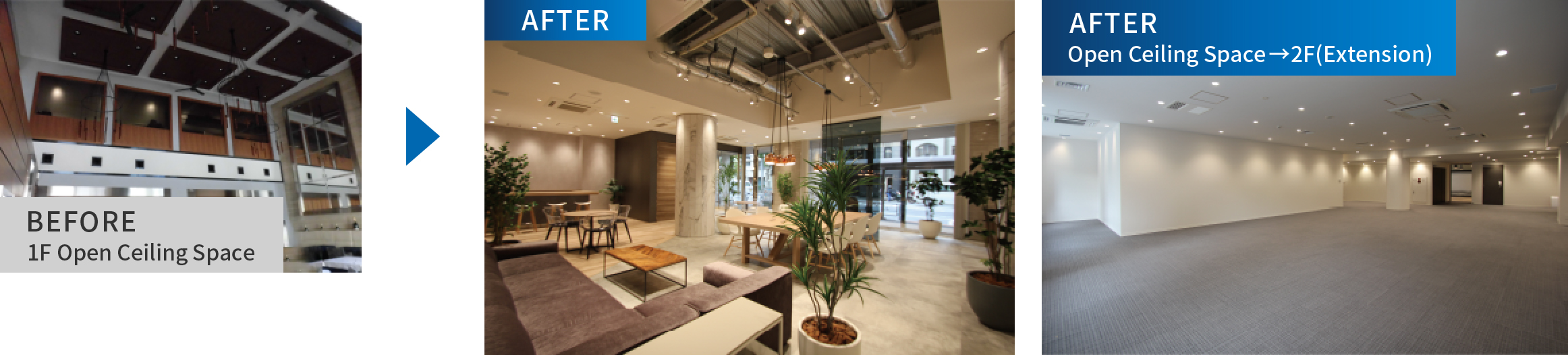 Replanning Case – 1st Floor Atrium