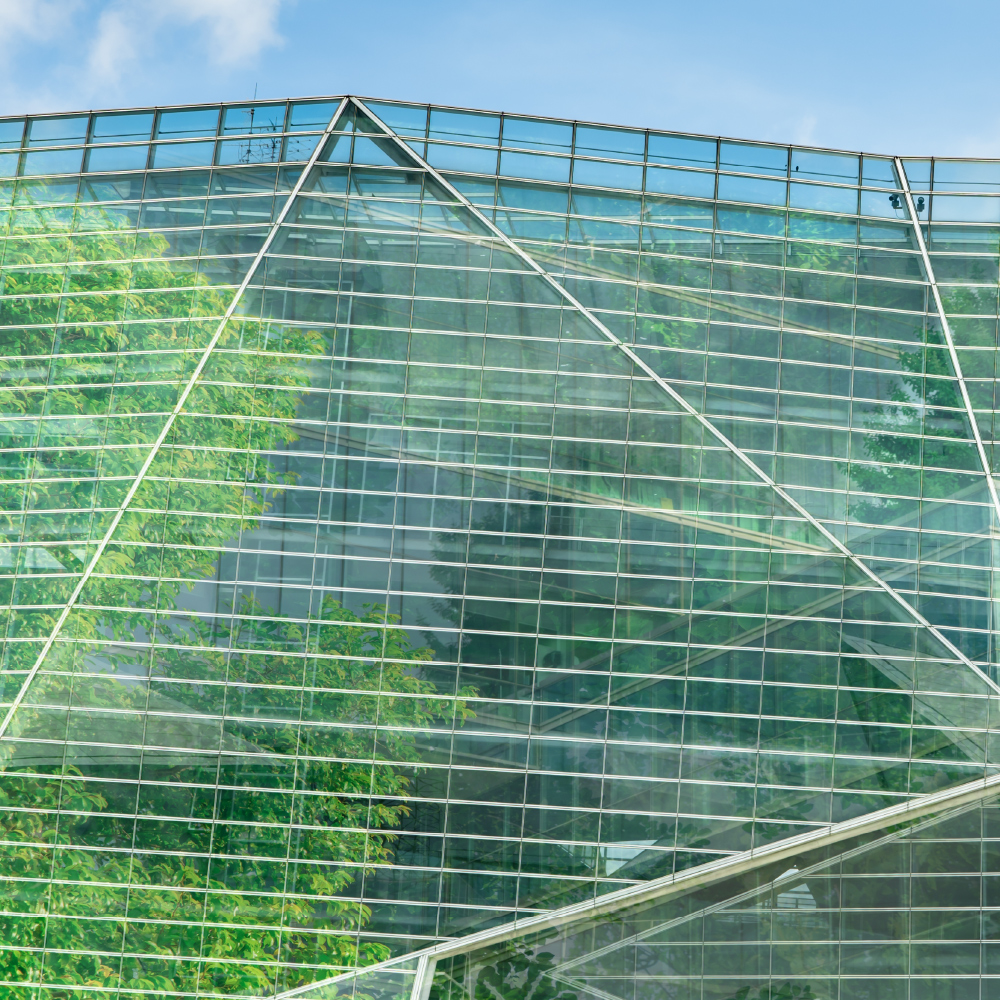 Sustainability