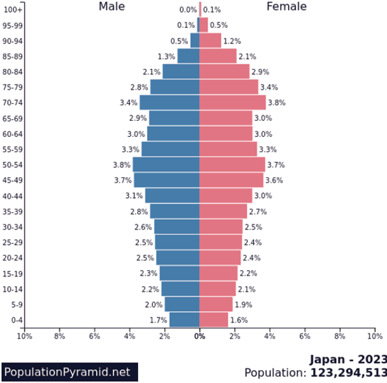 人口ピラミッド＜日本＞